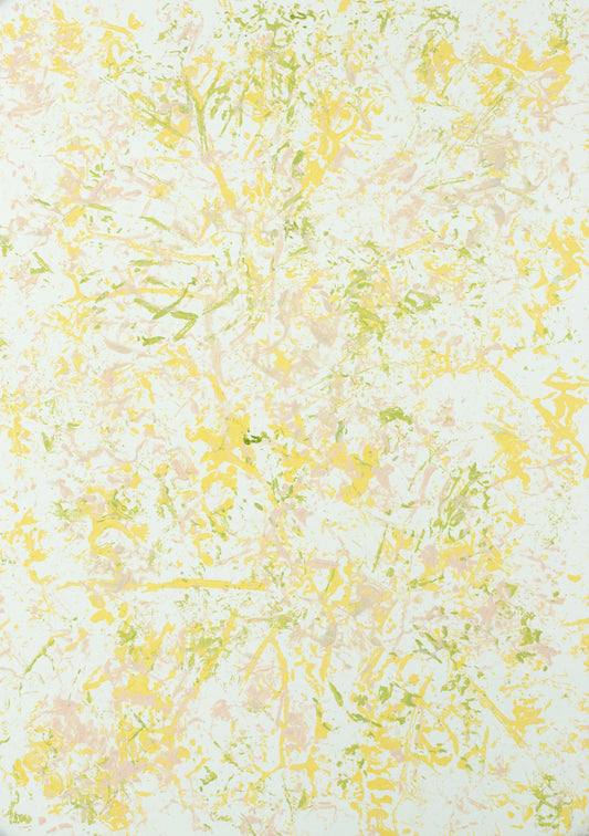 Clouds and Sunshine in Santo Domingo : 12" x 8" - 30 x 21 cm