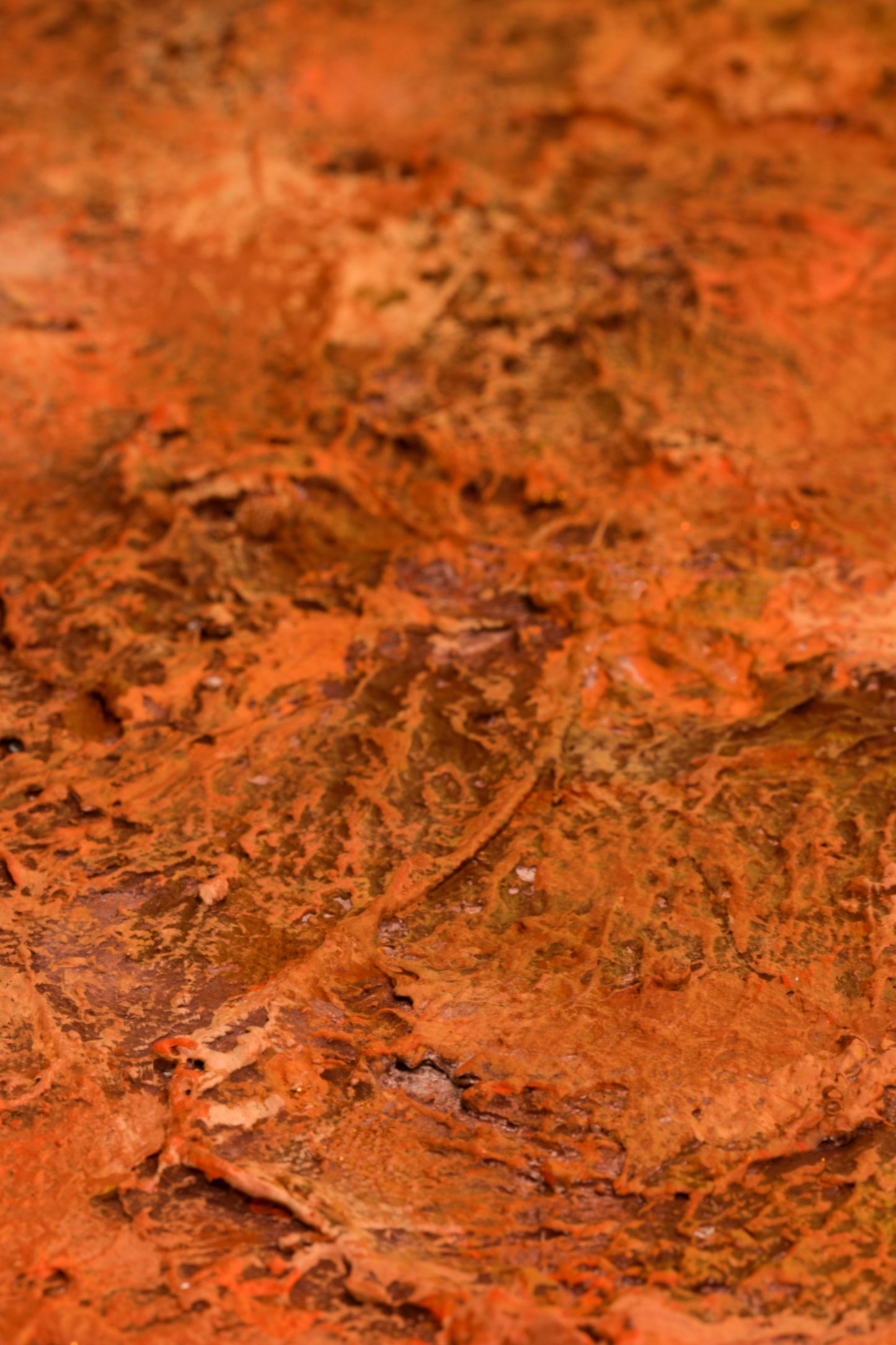 Pluto : 47" x 36" - 120 x 100 cm