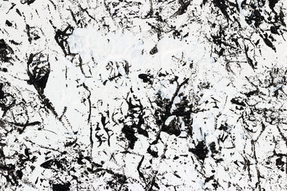 Snow Tapering to Flurries in Berlin