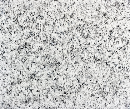 Snow Tapering to Flurries in Berlin