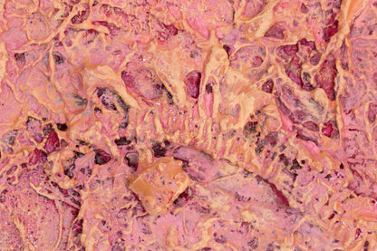 Manifestation of Dreams